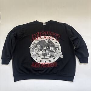 Disney Mickey‎ and Friends Sweatshirt Adult's XXL Embroidered Minnie Mouse
